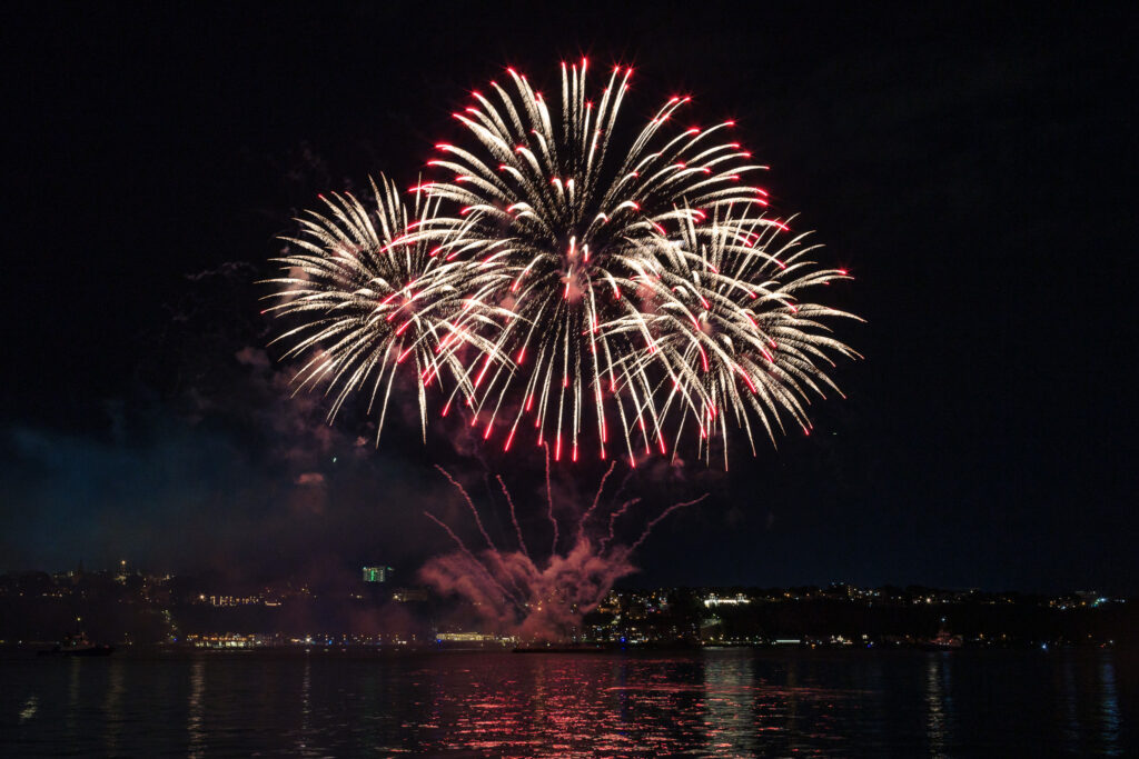 White and red fireworks in dark sky. 