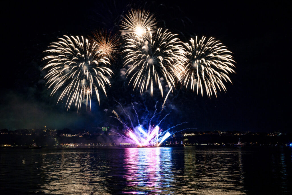 White, pink and blue fireworks in dark sky. 