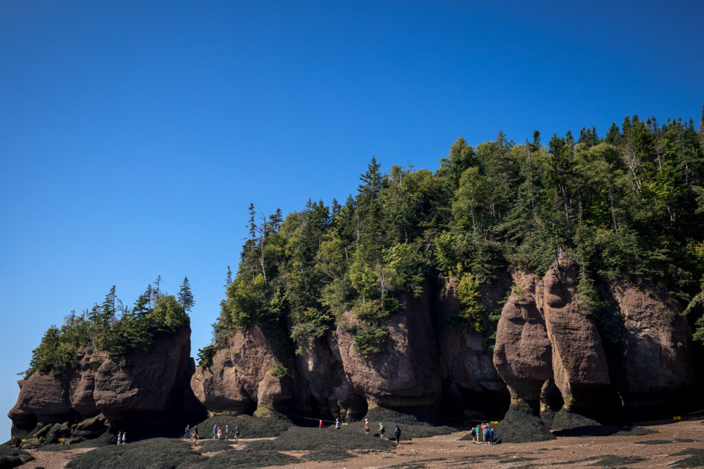 Large rock formations with trees on the top area and sea weed at the base. 