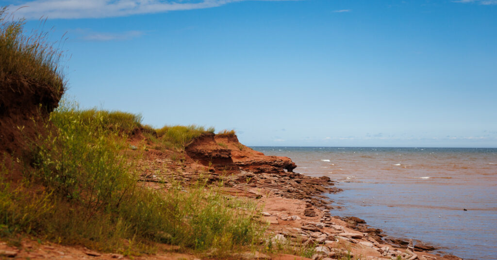 Coastline with tall green grasses and red rocks and sand.