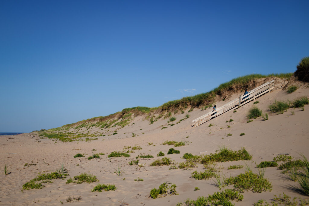 Two kids walking up stairs on large sand dunes.