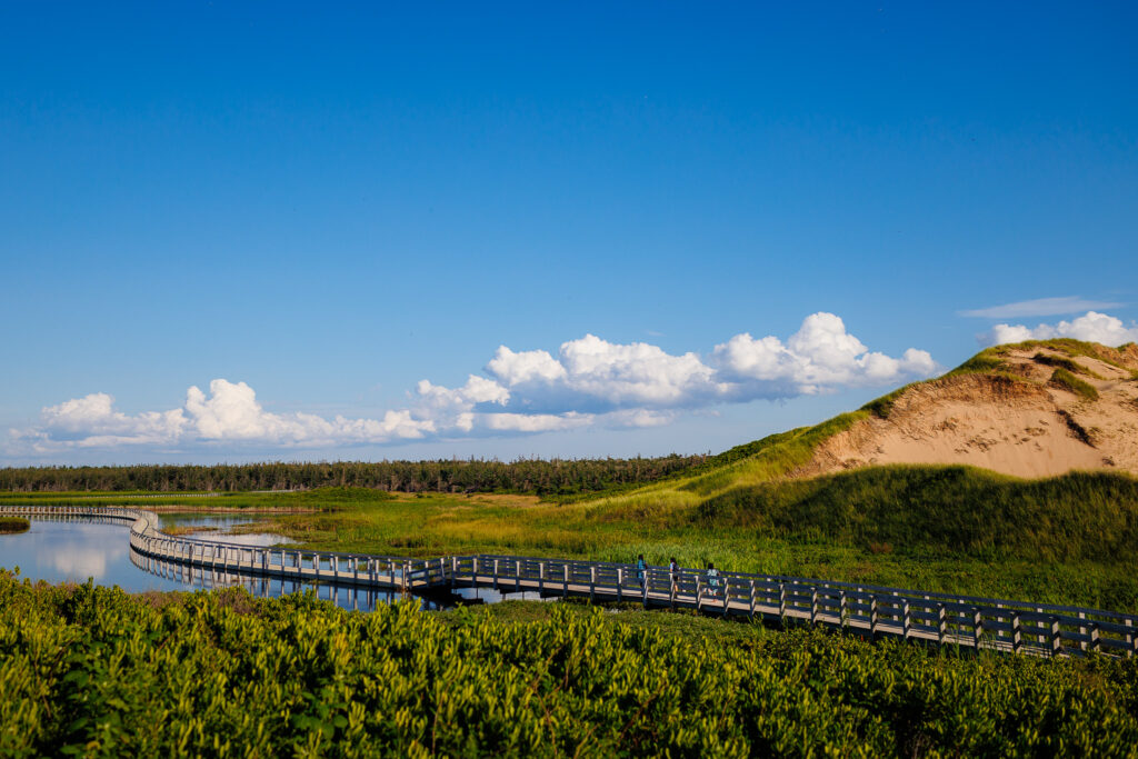 Large boardwalk over water with three kids walking on it. Green grasses/reeds and large sand dunes on either side. 