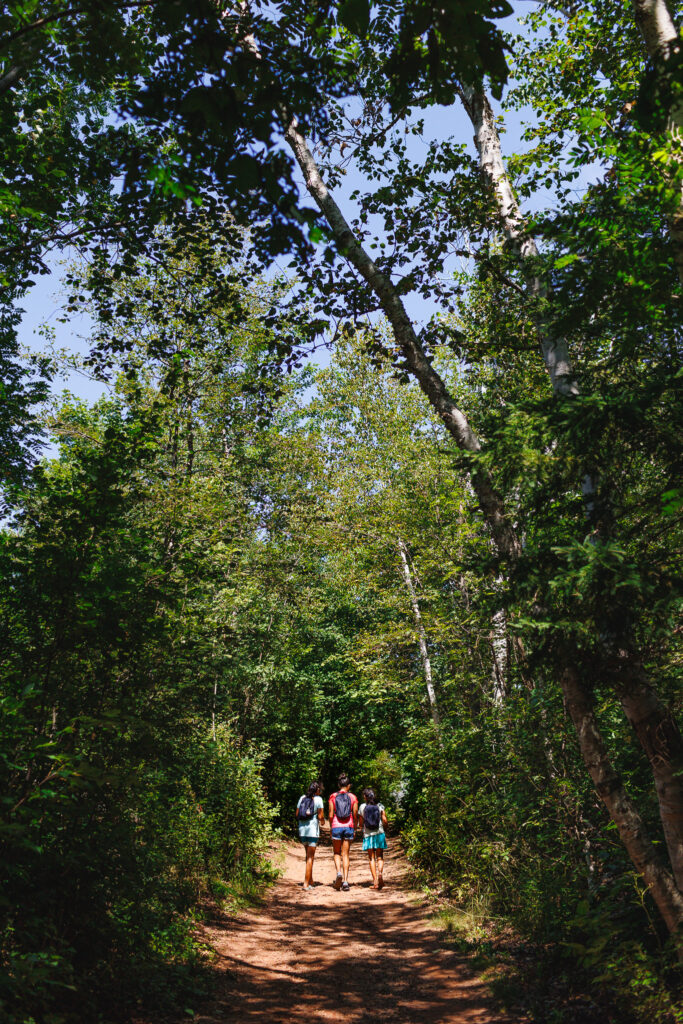Three kids walking in forest on a red path. 