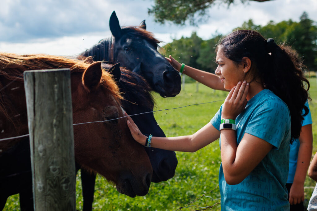 Picture of girl petting a brown horse. 