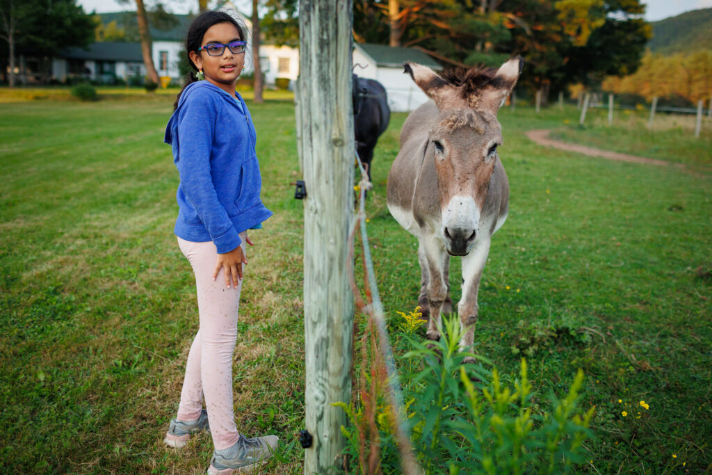 A girl and a donkey split up by a wooden fence. 